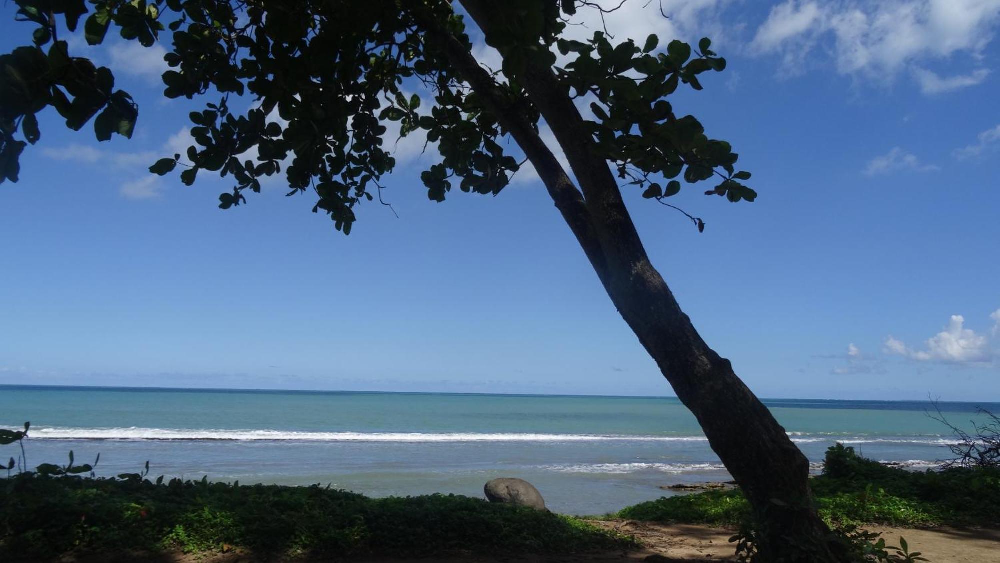 Holidays Guadeloupe Plessis-Nogent Cameră foto
