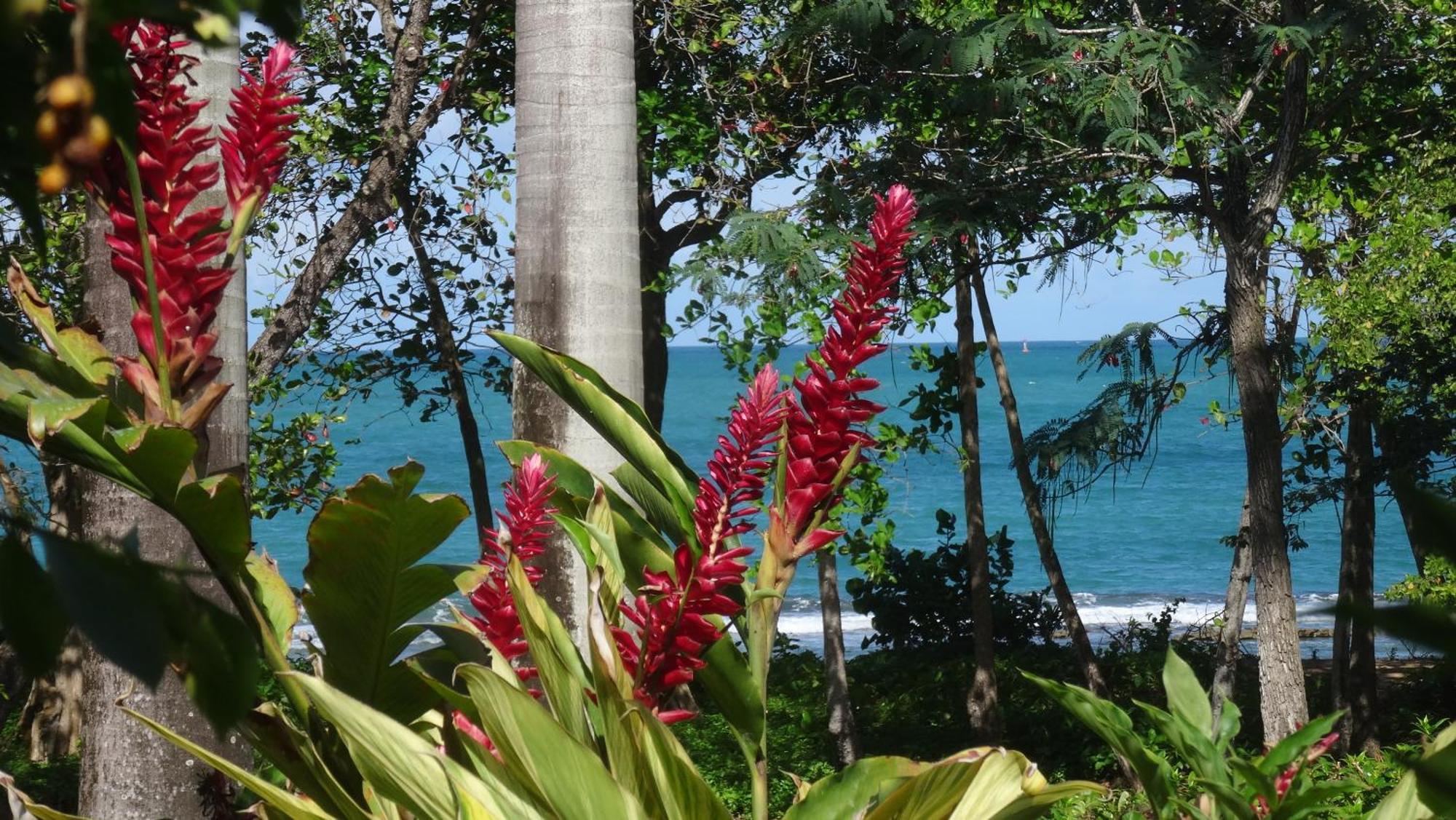 Holidays Guadeloupe Plessis-Nogent Cameră foto